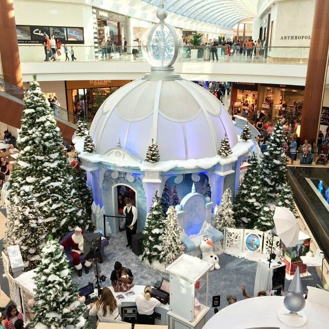 frozen1