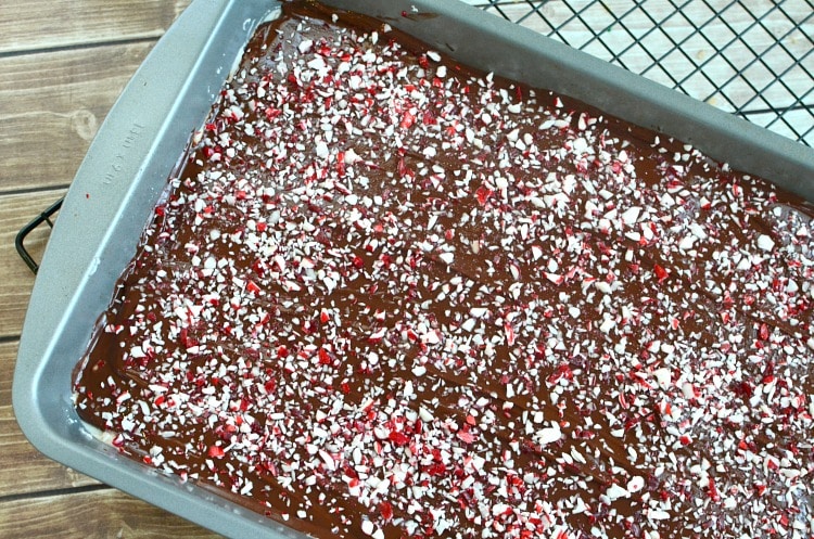 peppermintbrownies