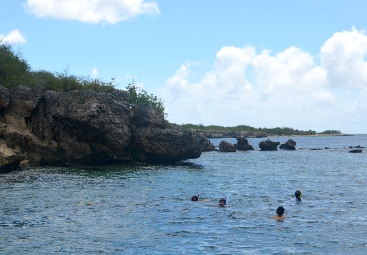 snorkeling trip curacao