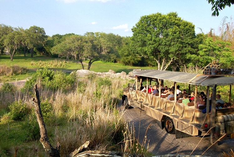 Wild Africa Trek at Disney's Animal Kingdom