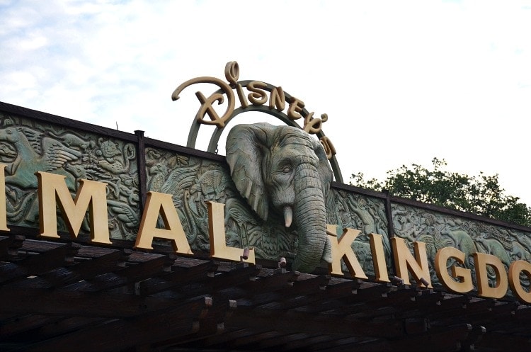 animal-kingdom-sign