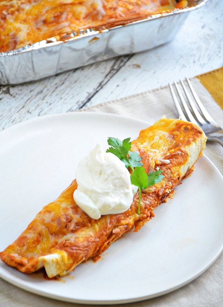 easy creamy Enchiladas Recipe