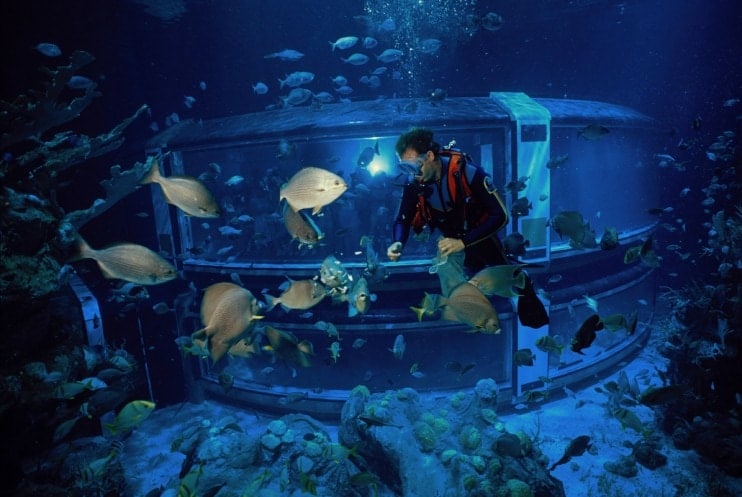 Image result for the seas with nemo and friends disney world