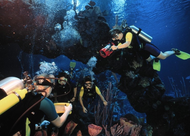 epcot divequest