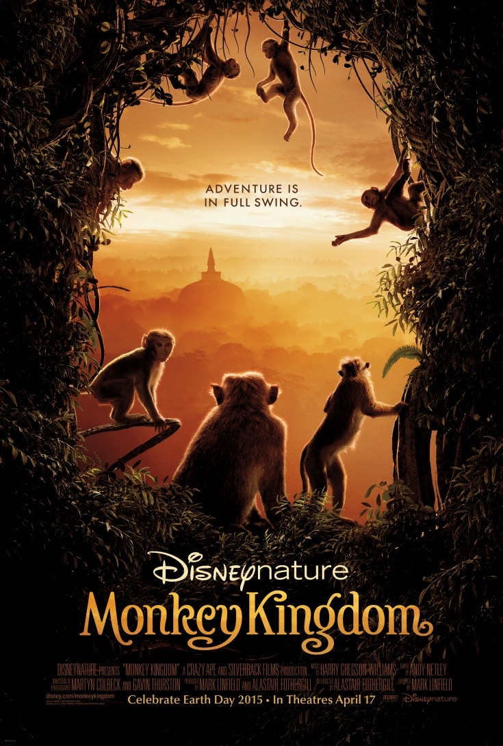 monkeykingdom5