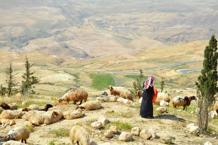 mount-nebo