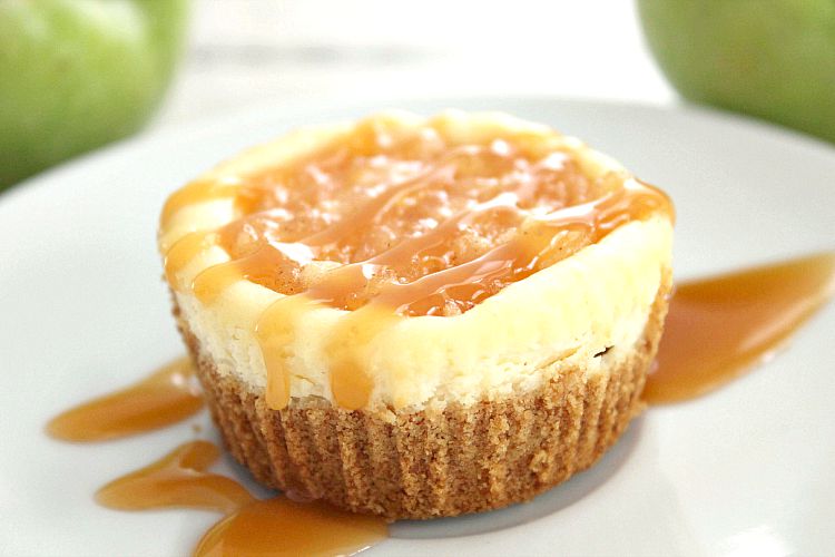 mini apple cheesecakes recipe
