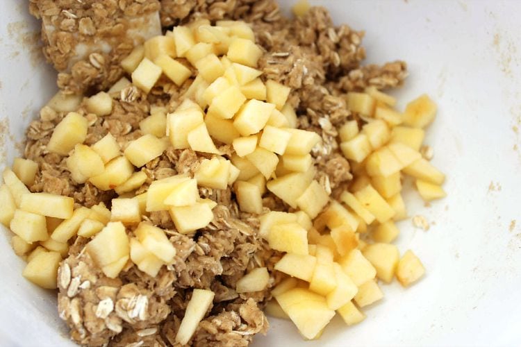 oatmeal apples mixture