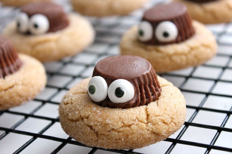 Spider Cookies for Halloween