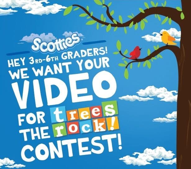 scotties trees rock video contest