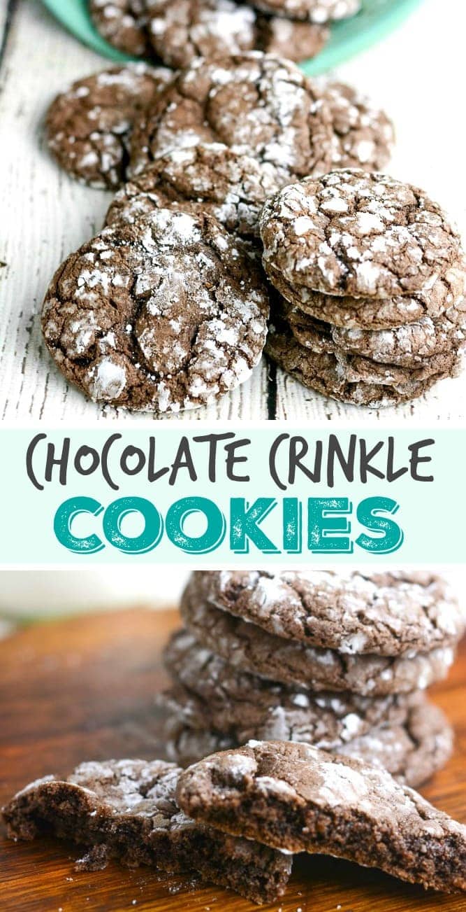 chocolate crinkle cookies recipe