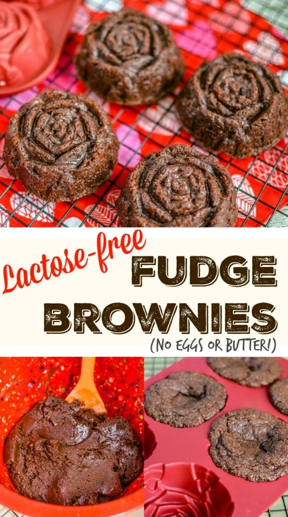 lactose-free fudge brownies recipe