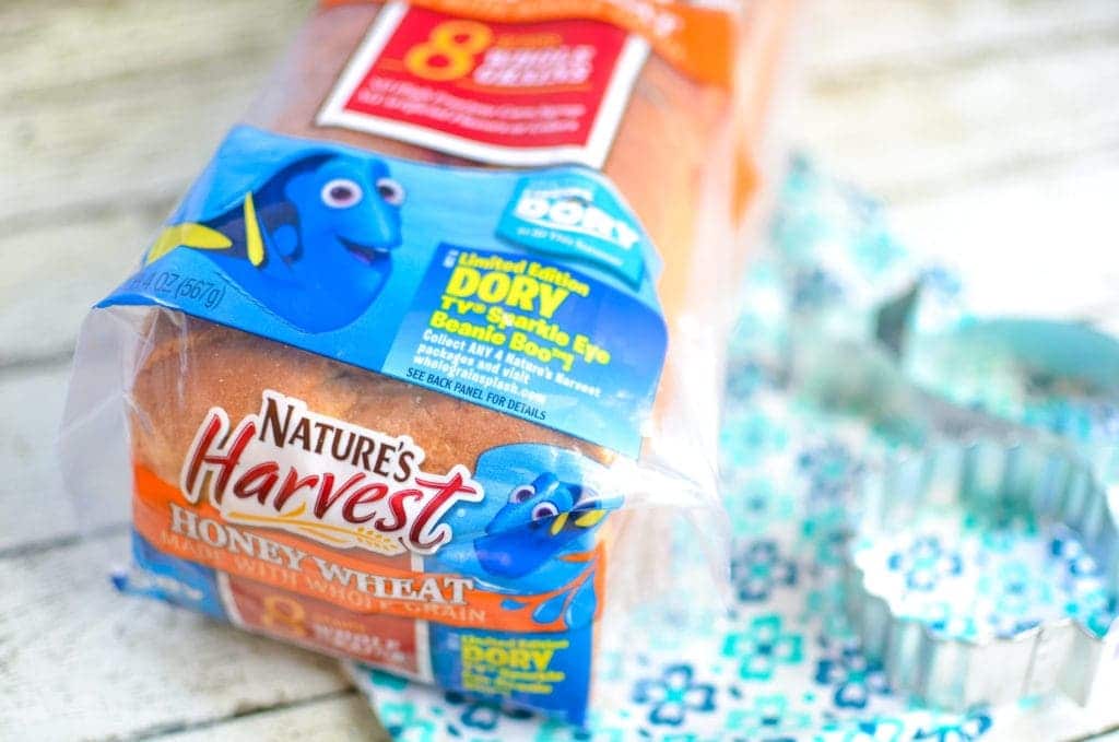 nature's harvest finding dory sweepstakes