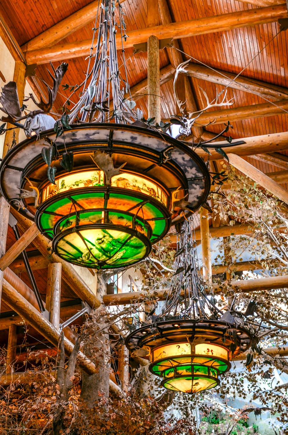 Things To Do In Springfield MO