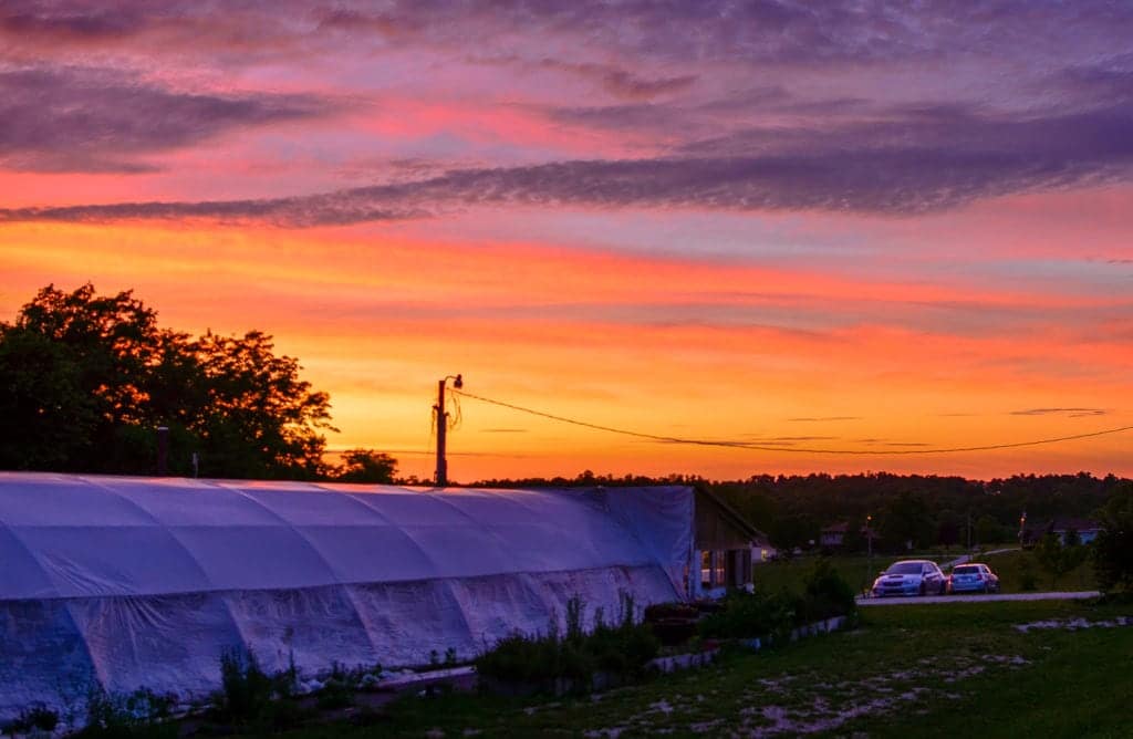 springfield missouri sunset