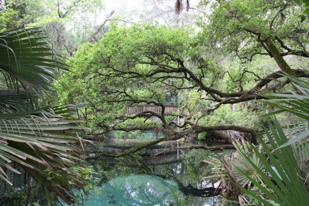 Outdoor Adventure in Ocala