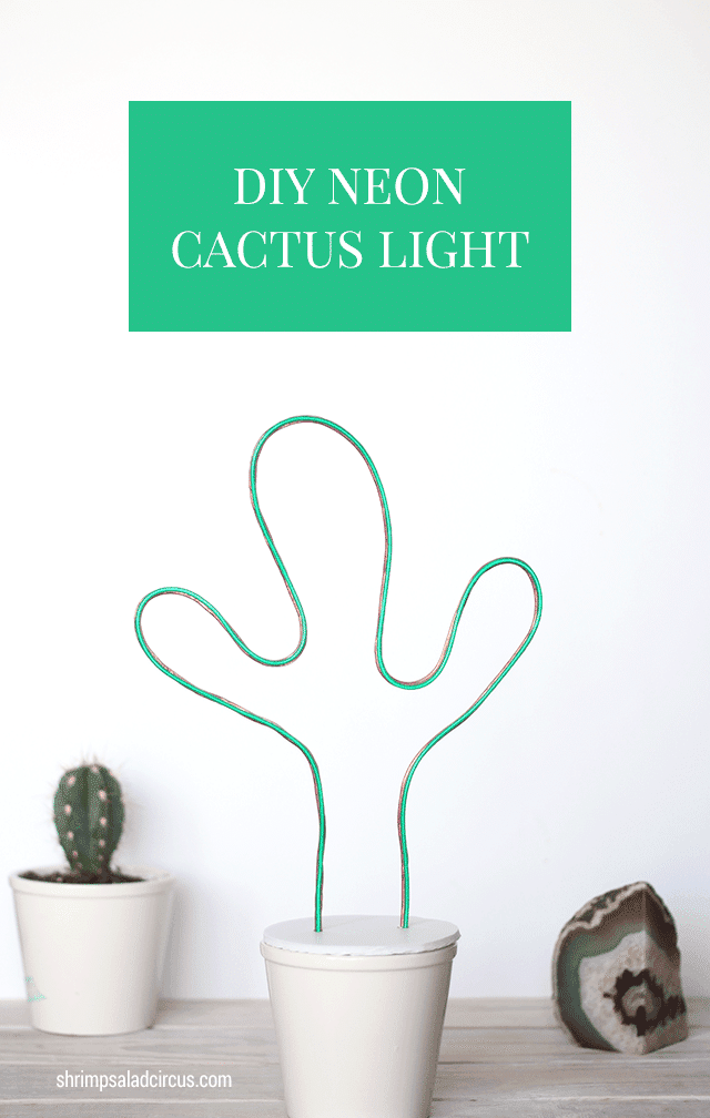 diy cactus light