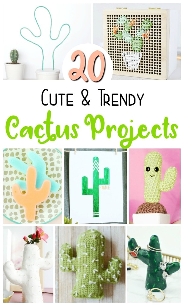 diy cactus projects