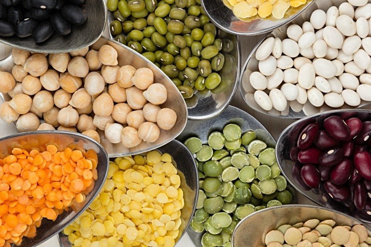 pulses beans lentils