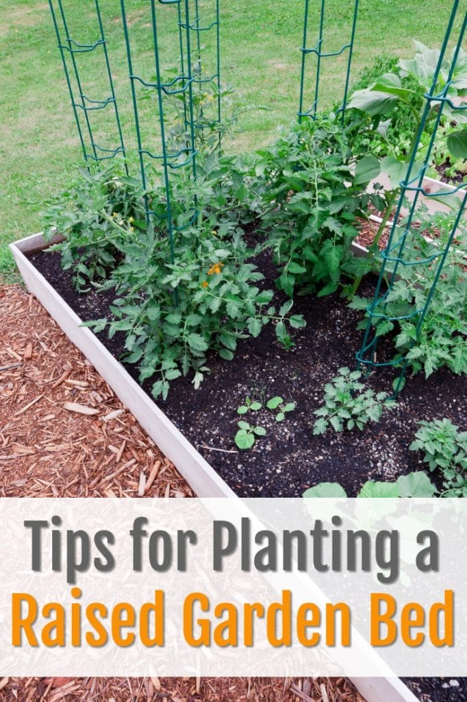 tips for planting a raised garden bed