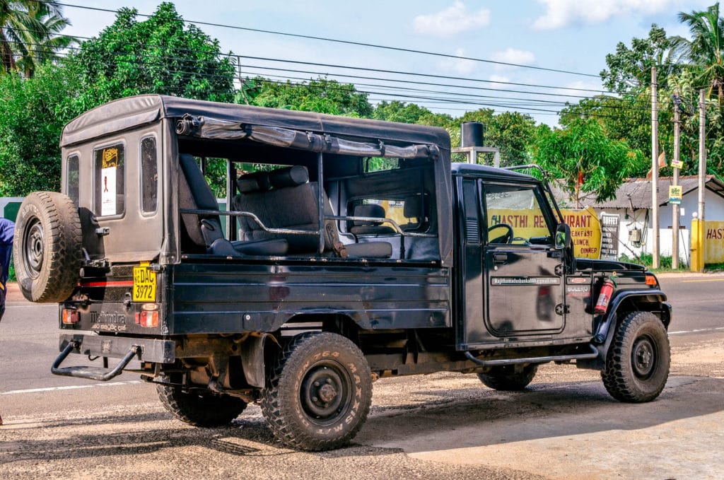 jeep Safari Minneriya National Park Sri Lanka