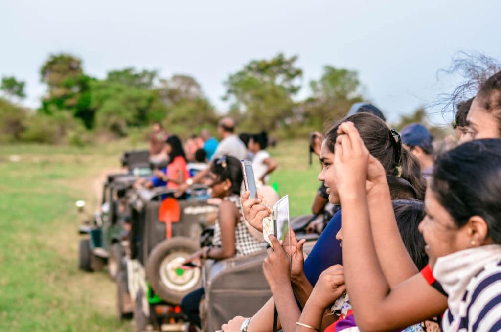 Elephant Safari at Minneriya National Park in Sri Lanka