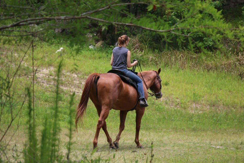 horseback riding ocala