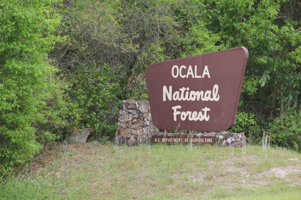 ocala national forest