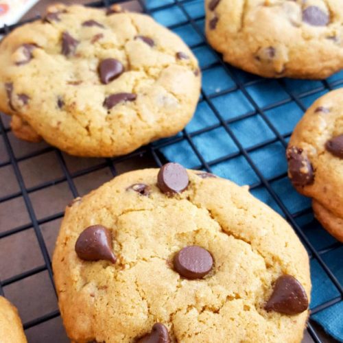 Chewy Pumpkin Chocolate Chip Cookies