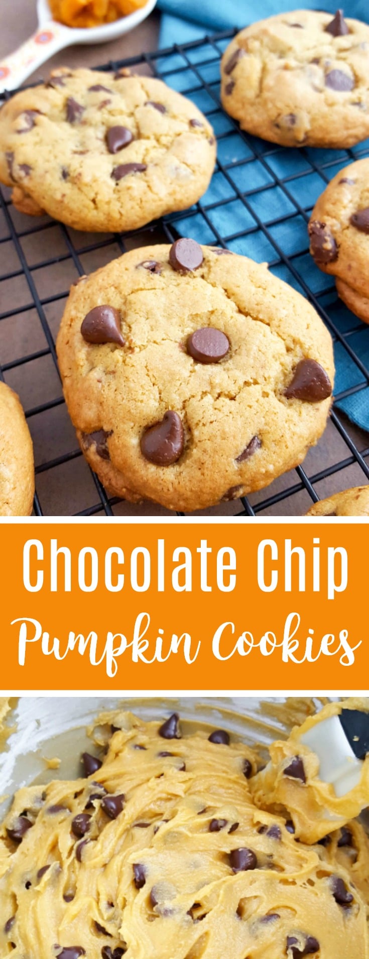 pumpkin chocolate chip cookies recipe