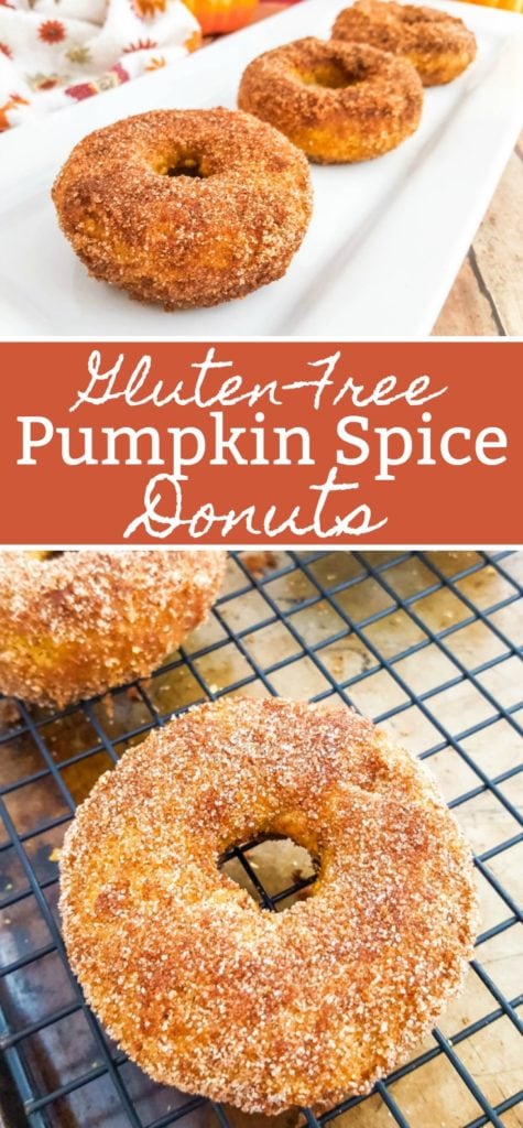 Gluten-Free Pumpkin Spice Donuts Recipe | Baked Pumpkin Donuts