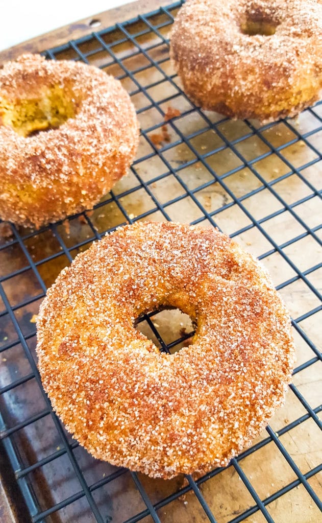 Gluten Free Pumpkin Sugar and Spice Donuts Recipe 