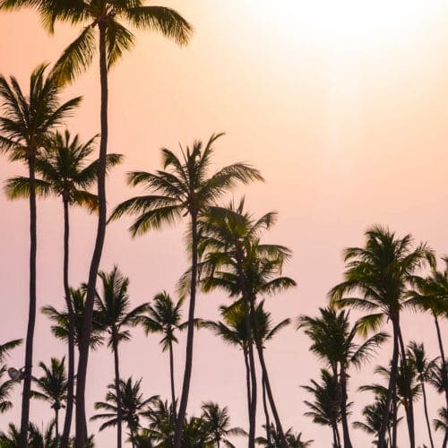 Reasons to Travel to Punta Cana