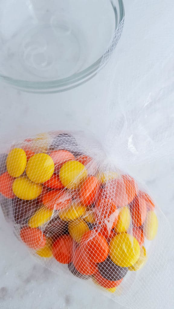 Thanksgiving Turkey Candy Bags