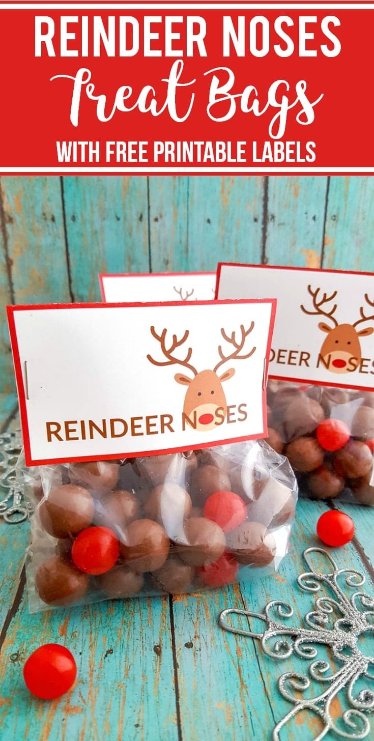 DIY Reindeer Noses Treat Bags with Free Printable