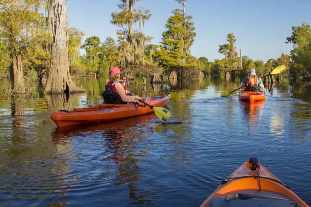 gulf county kayaking