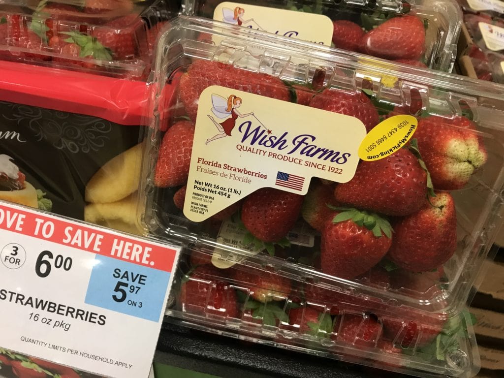 fresh from Florida strawberries