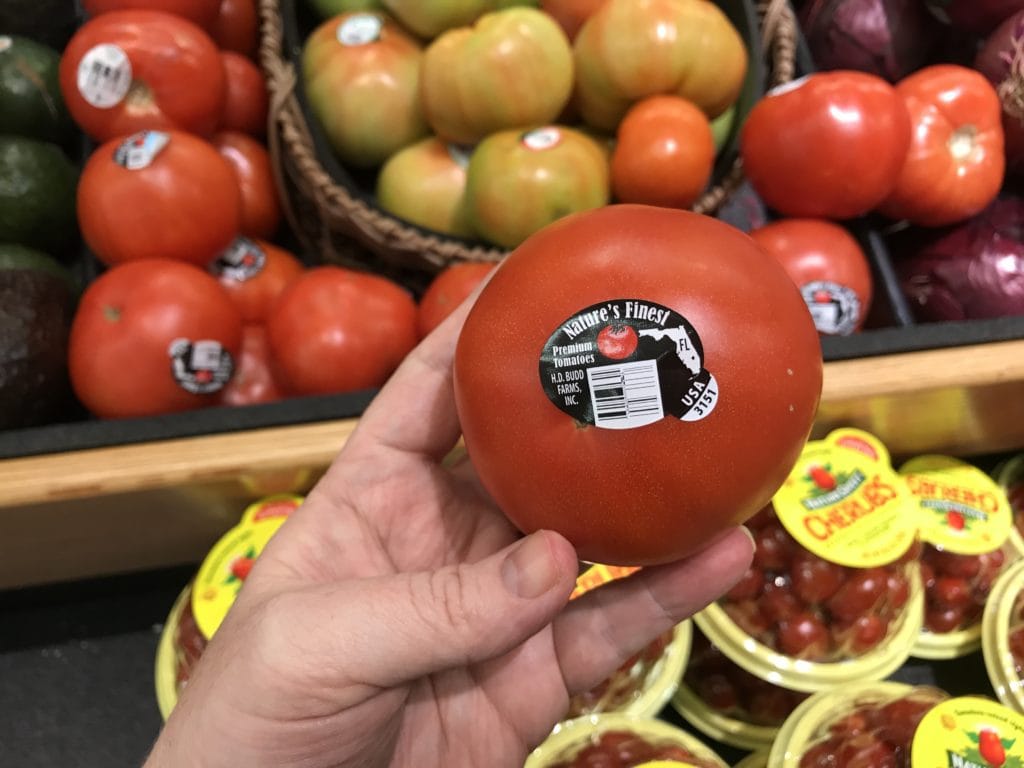 fresh from florida tomatoes