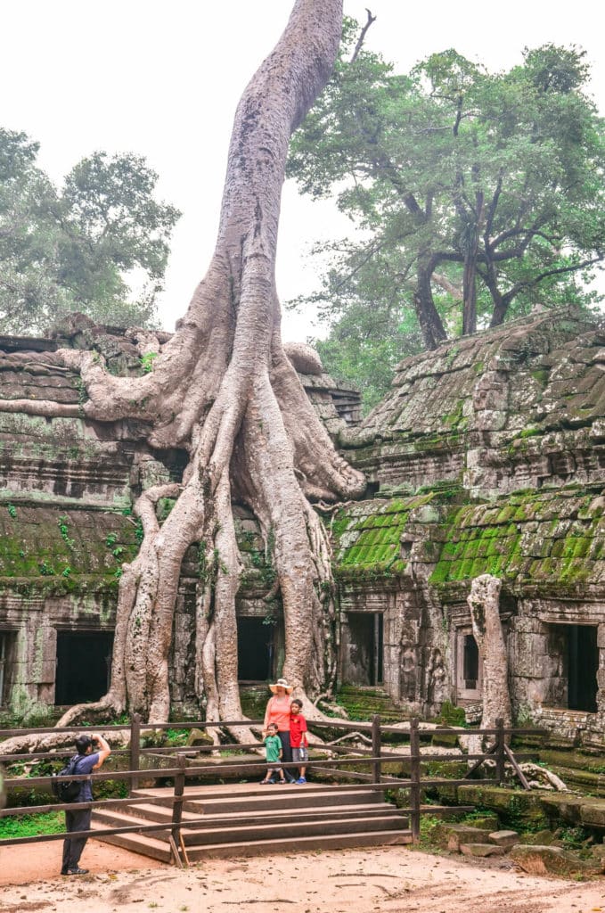 Ta Prohm tree tomb raider