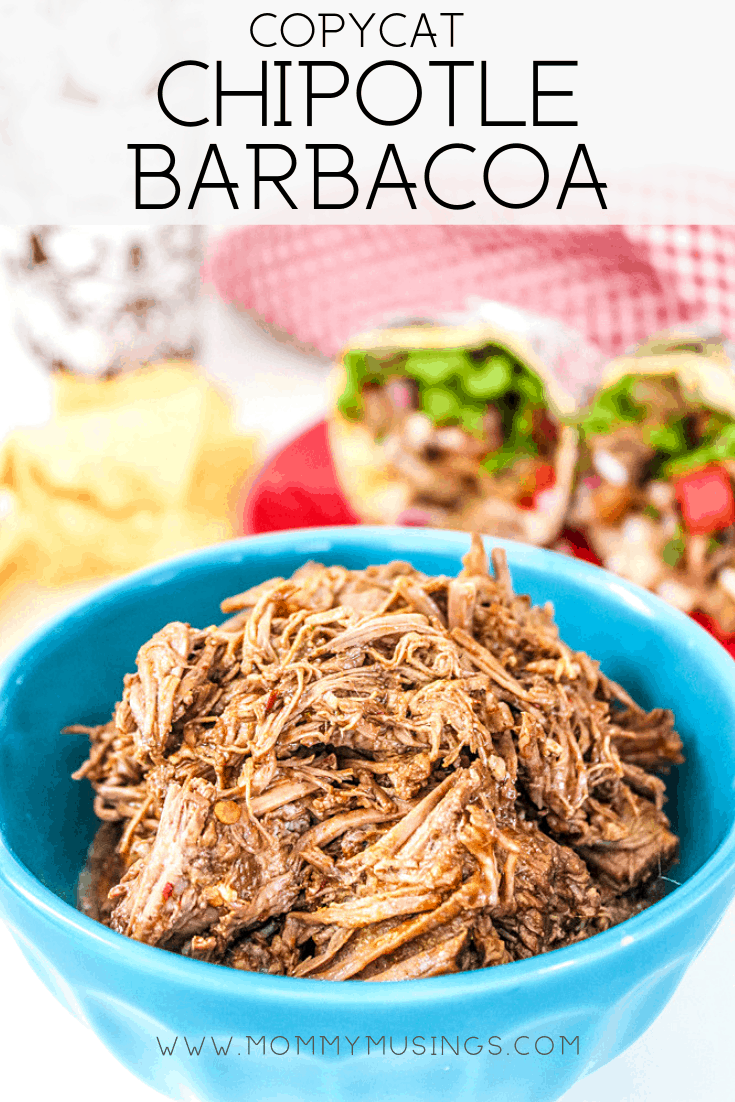 Chipotle Barbacoa Copycat Recipes Mommy Musings,Best Sewing Machine Brands