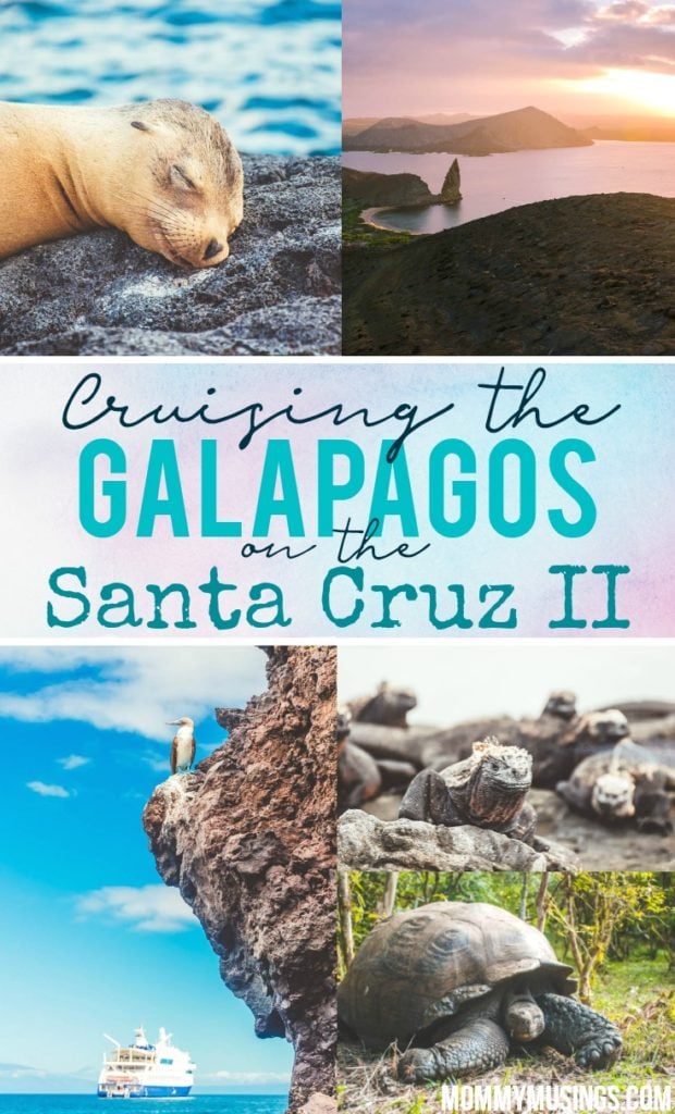 cruising the galapagos islands on the santa cruz II
