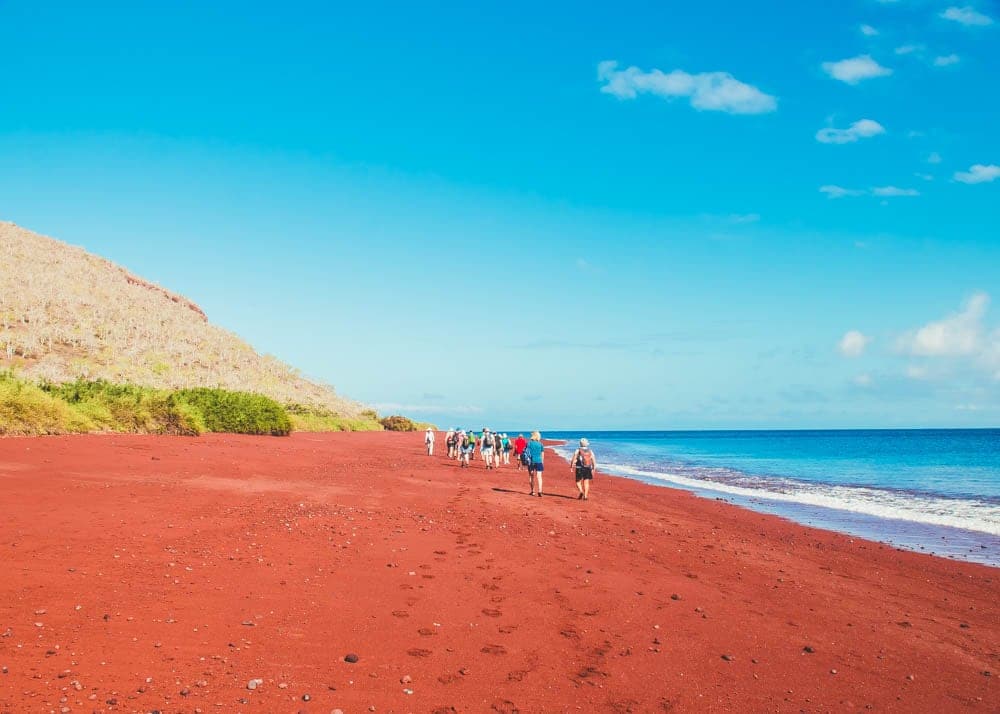 rabida island Galapagos