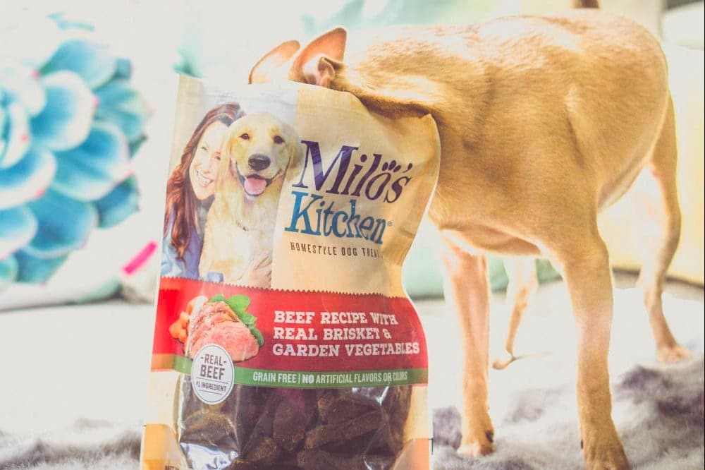 milo's kitchen best dog treats 