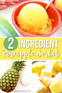 2 ingredient pineapple sorbet recipe
