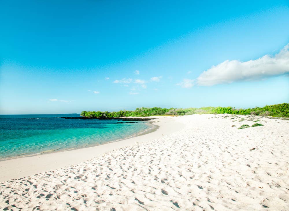 galapagos cruise beach