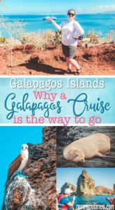 why a galapagos cruise is the way to go