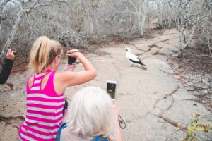 galapagos tour group metropolitan touring