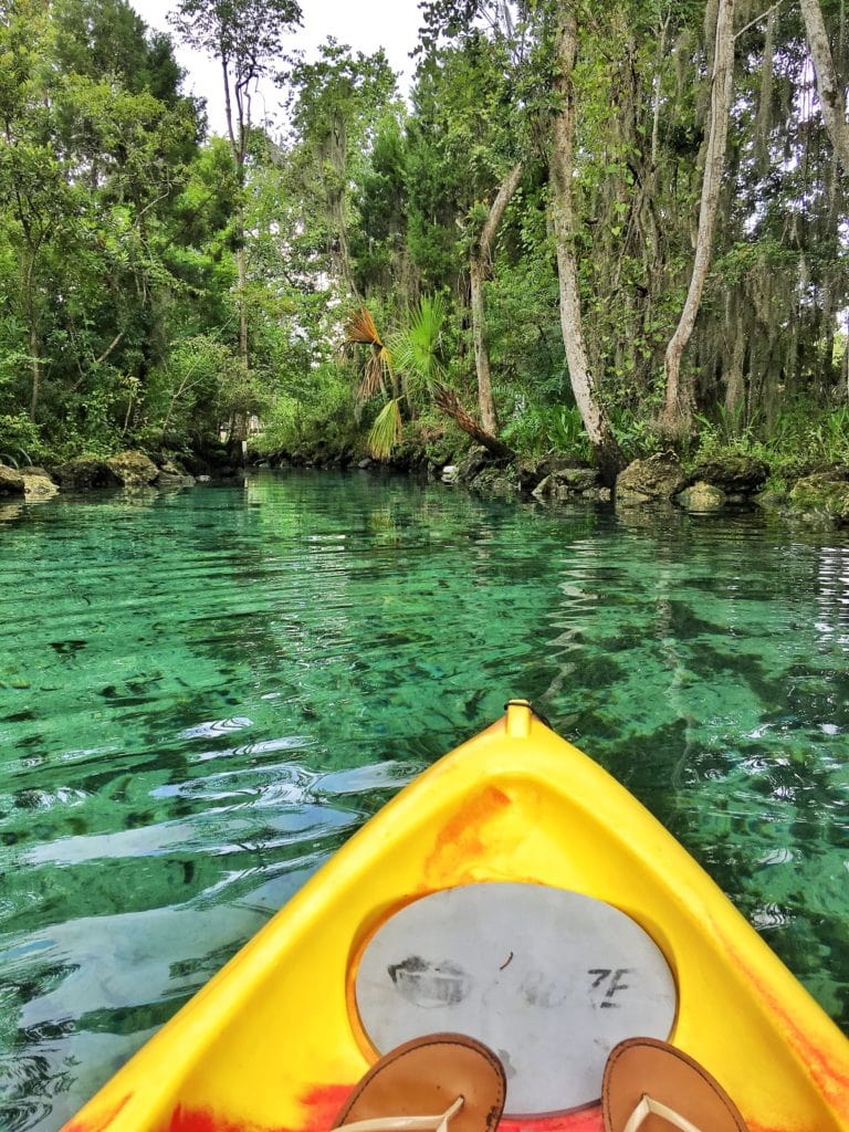 kayaking crystal river