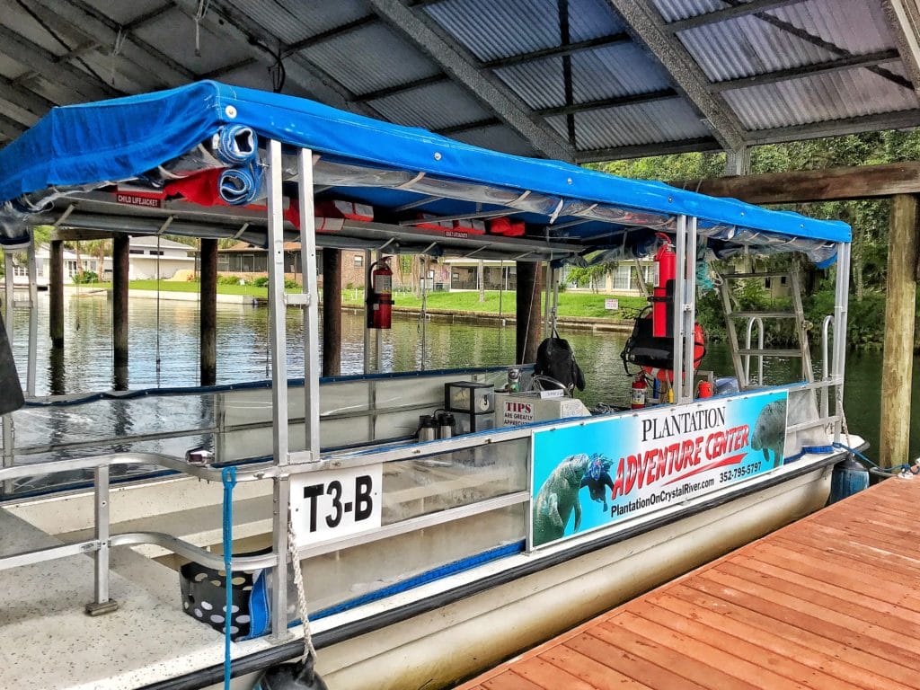 swimming with manatees crystal river 