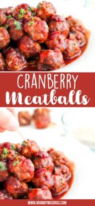 Cranberry Meatballs - Cocktail Meatball Recipe